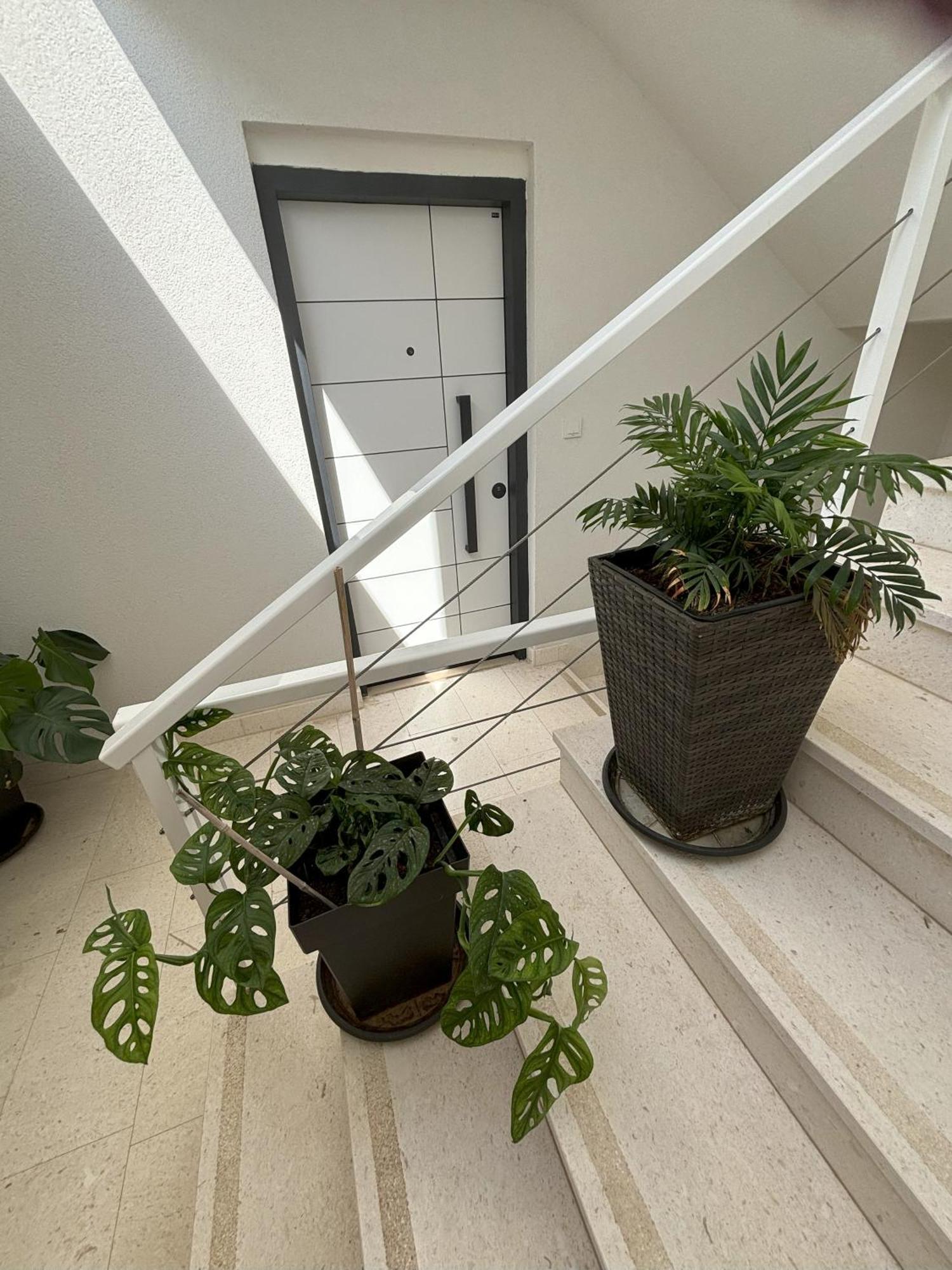 Vila Regina Apartment Paloma With Swimming Pool Jezera Exteriör bild